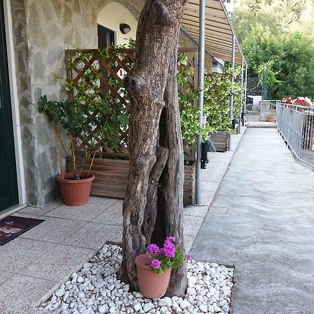 Affittacamere Arabafenice Vezzano Ligure Buitenkant foto