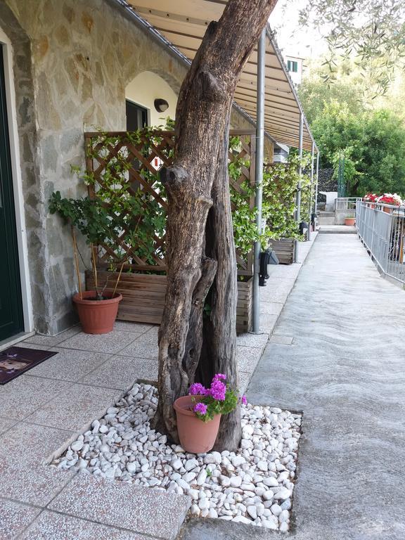 Affittacamere Arabafenice Vezzano Ligure Buitenkant foto