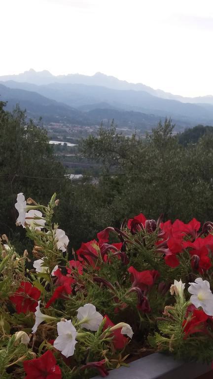Affittacamere Arabafenice Vezzano Ligure Buitenkant foto